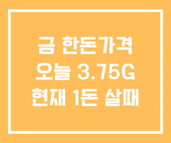 금 한돈가격 오늘 3.75G 현재 1돈 살때 금 한돈가격 오늘 3.75G 현재 1돈 살때