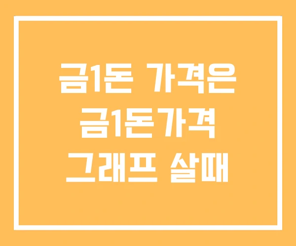 금1돈 가격은 금1돈가격 그래프 살때 금1돈 가격은 금1돈가격 그래프 살때