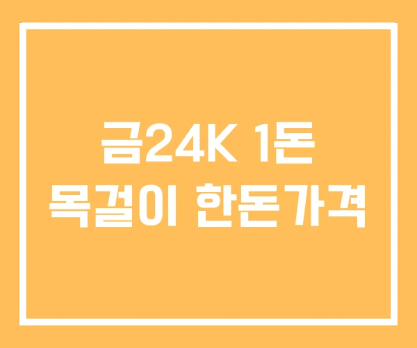 금24K 1돈 목걸이 한돈가격 금24K 1돈 목걸이 한돈가격