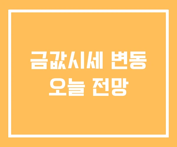 금값시세 변동 오늘 전망 금값시세 변동 오늘 전망