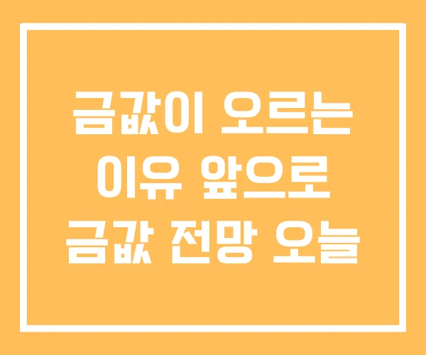금값이 오르는 이유 앞으로 금값 전망 오늘 금값이 오르는 이유 앞으로 금값 전망 오늘