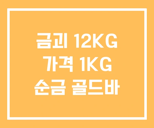 금괴 12KG 가격 1KG 순금 골드바 금괴 12KG 가격 1KG 순금 골드바