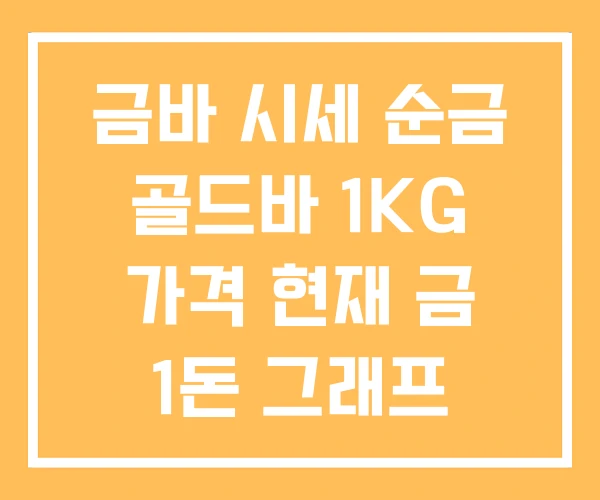 금바 시세 순금 골드바 1KG 가격 현재 금 1돈 그래프 금바 시세 순금 골드바 1KG 가격 현재 금 1돈 그래프