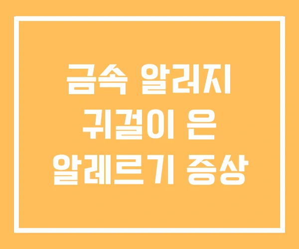 금속 알러지 귀걸이 은 알레르기 증상 금속 알러지 귀걸이 은 알레르기 증상