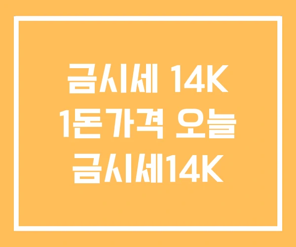금시세 14K 1돈가격 오늘 금시세14K 금시세 14K 1돈가격 오늘 금시세14K