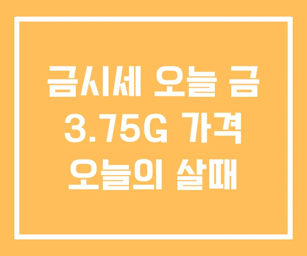 금시세 오늘 금 3.75G 가격 오늘의 살때 금시세 오늘 금 3.75G 가격 오늘의 살때