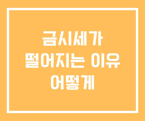 금시세가 떨어지는 이유 어떻게