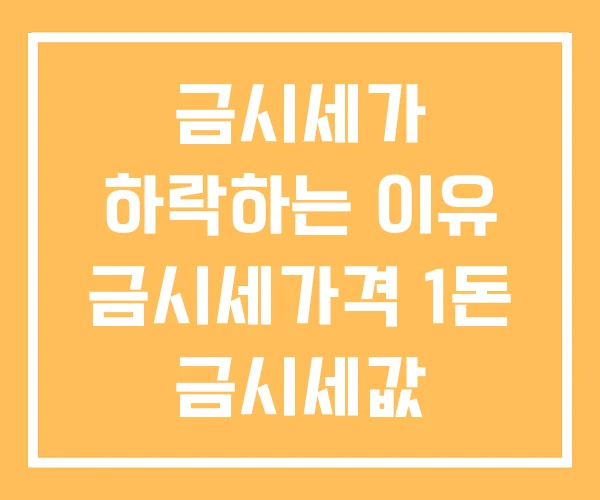 금시세가 하락하는 이유 금시세가격 1돈 금시세값 금시세가 하락하는 이유 금시세가격 1돈 금시세값
