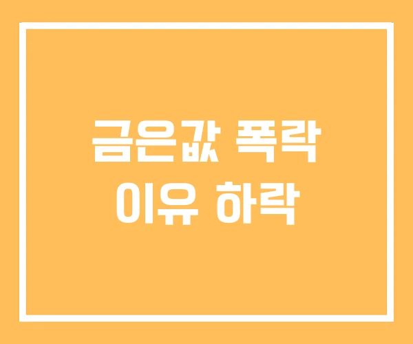 금은값 폭락 이유 하락 금은값 폭락 이유 하락