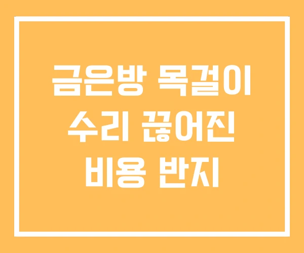 금은방 목걸이 수리 끊어진 비용 반지 금은방 목걸이 수리 끊어진 비용 반지