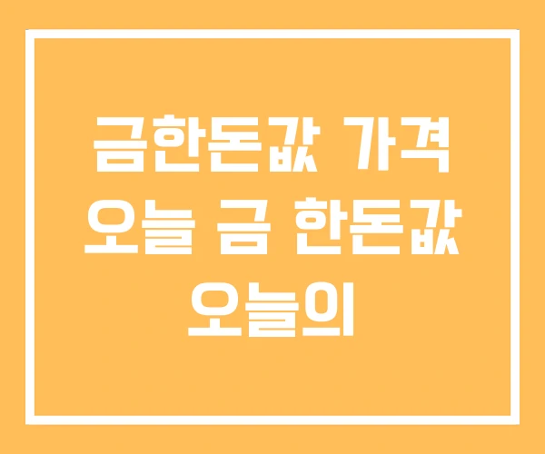 금한돈값 가격 오늘 금 한돈값 오늘의