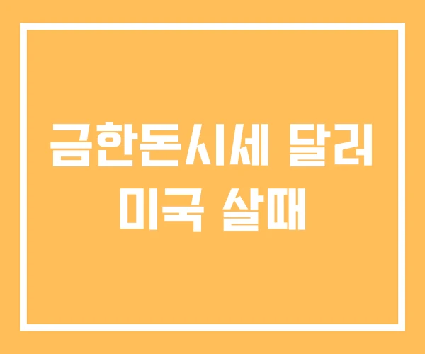 금한돈시세 달러 미국 살때 금한돈시세 달러 미국 살때