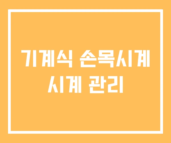 기계식 손목시계 시계 관리 기계식 손목시계 시계 관리