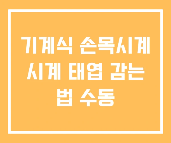 기계식 손목시계 시계 태엽 감는 법 수동 기계식 손목시계 시계 태엽 감는 법 수동