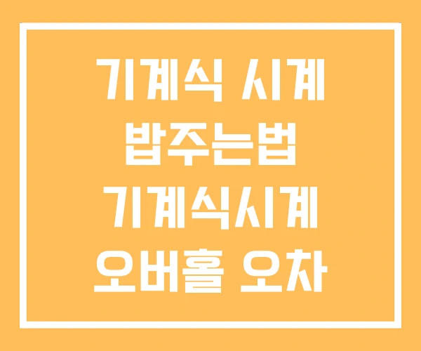 기계식 시계 밥주는법 기계식시계 오버홀 오차 기계식 시계 밥주는법 기계식시계 오버홀 오차