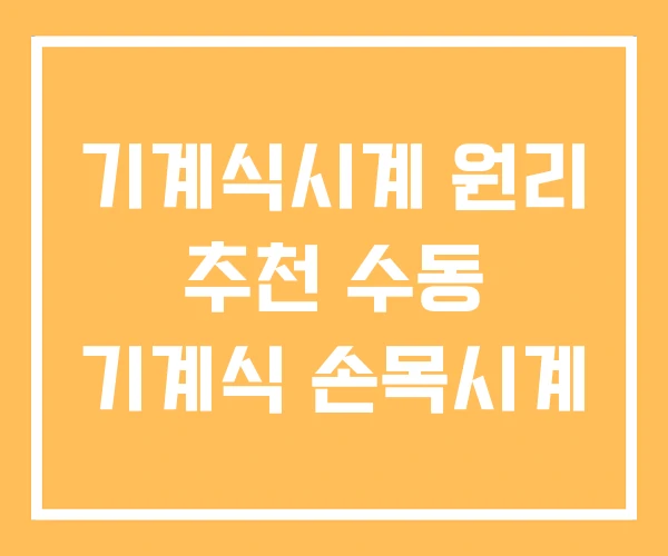기계식시계 원리 추천 수동 기계식 손목시계 기계식시계 원리 추천 수동 기계식 손목시계