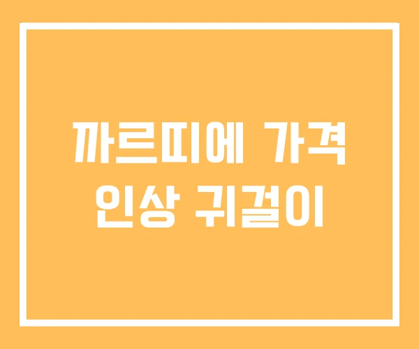 까르띠에 가격 인상 귀걸이 까르띠에 가격 인상 귀걸이
