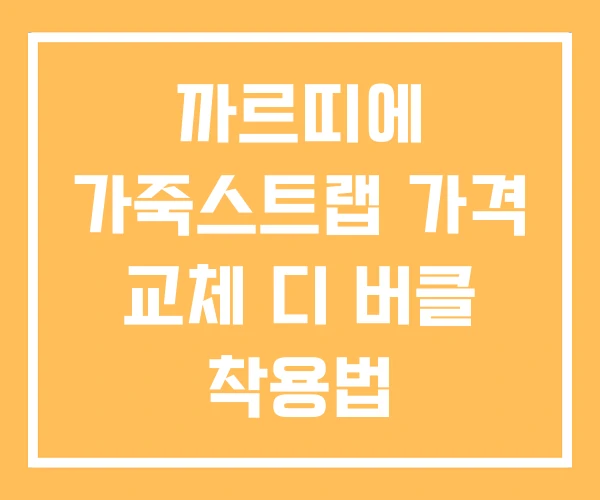 까르띠에 가죽스트랩 가격 교체 디 버클 착용법 까르띠에 가죽스트랩 가격 교체 디 버클 착용법