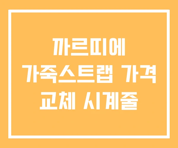 까르띠에 가죽스트랩 가격 교체 시계줄 까르띠에 가죽스트랩 가격 교체 시계줄