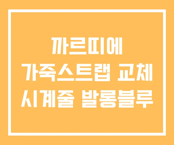 까르띠에 가죽스트랩 교체 시계줄 발롱블루