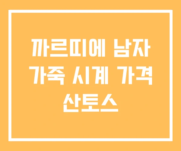 까르띠에 남자 가죽 시계 가격 산토스 까르띠에 남자 가죽 시계 가격 산토스