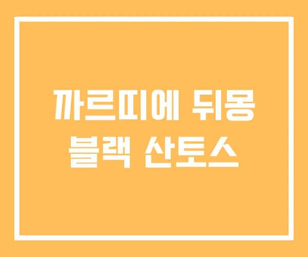 까르띠에 뒤몽 블랙 산토스 까르띠에 뒤몽 블랙 산토스