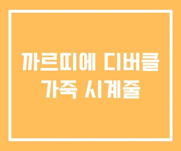 까르띠에 디버클 가죽 시계줄 까르띠에 디버클 가죽 시계줄