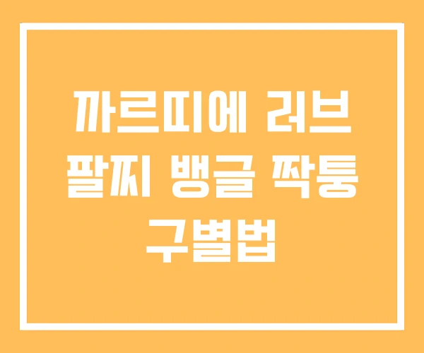 까르띠에 러브 팔찌 뱅글 짝퉁 구별법 까르띠에 러브 팔찌 뱅글 짝퉁 구별법
