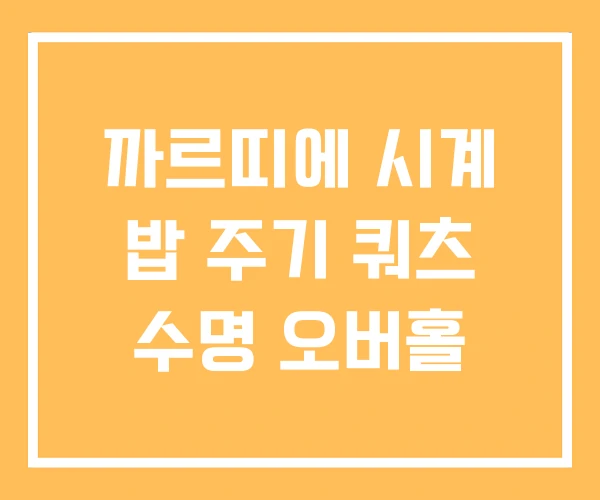 까르띠에 시계 밥 주기 쿼츠 수명 오버홀 까르띠에 시계 밥 주기 쿼츠 수명 오버홀