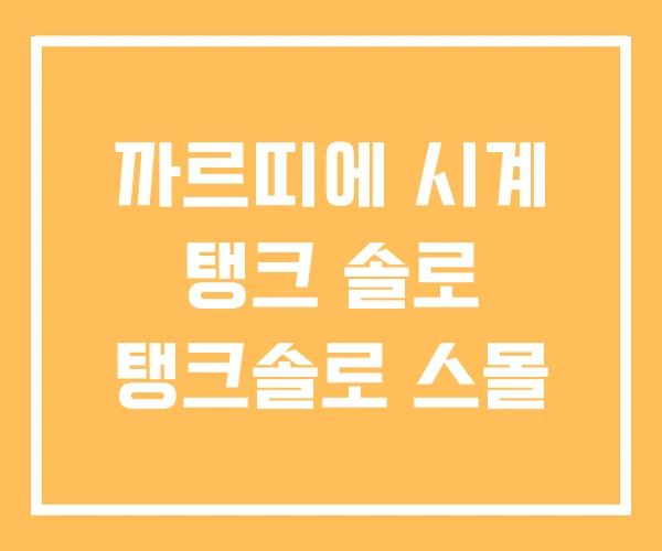 까르띠에 시계 탱크 솔로 탱크솔로 스몰 까르띠에 시계 탱크 솔로 탱크솔로 스몰