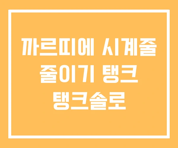 까르띠에 시계줄 줄이기 탱크 탱크솔로