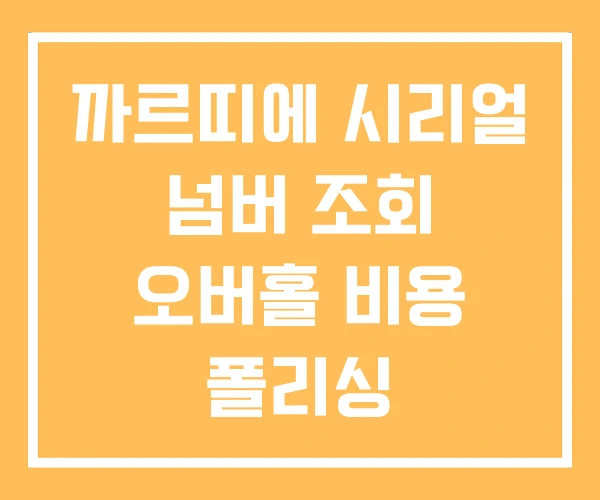 까르띠에 시리얼 넘버 조회 오버홀 비용 폴리싱