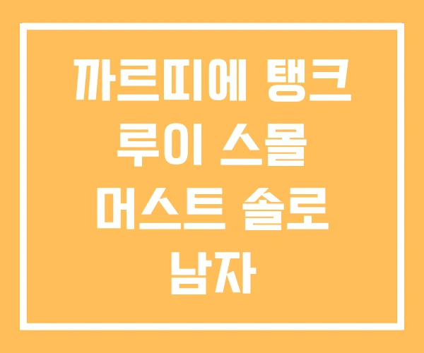 까르띠에 탱크 루이 스몰 머스트 솔로 남자 까르띠에 탱크 루이 스몰 머스트 솔로 남자