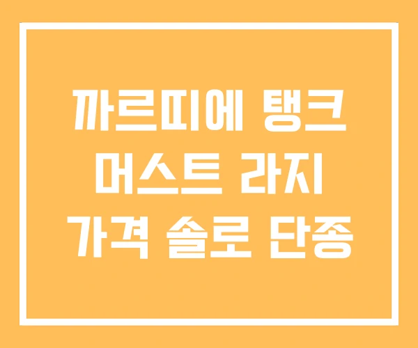 까르띠에 탱크 머스트 라지 가격 솔로 단종