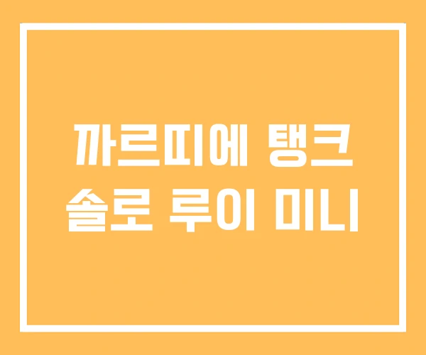 까르띠에 탱크 솔로 루이 미니