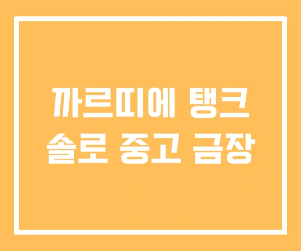 까르띠에 탱크 솔로 중고 금장