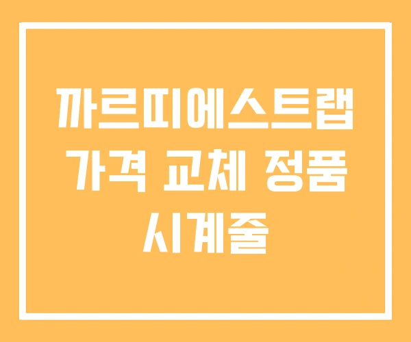 까르띠에스트랩 가격 교체 정품 시계줄