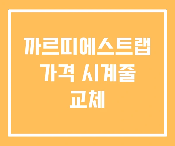 까르띠에스트랩 가격 시계줄 교체 까르띠에스트랩 가격 시계줄 교체