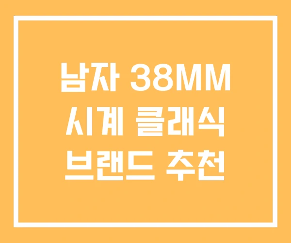 남자 38MM 시계 클래식 브랜드 추천 남자 38MM 시계 클래식 브랜드 추천