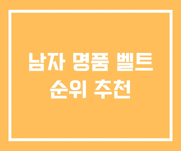 남자 명품 벨트 순위 추천