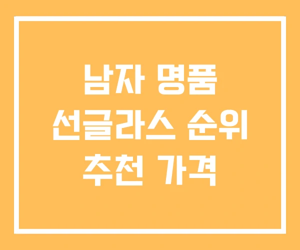 남자 명품 선글라스 순위 추천 가격 남자 명품 선글라스 순위 추천 가격