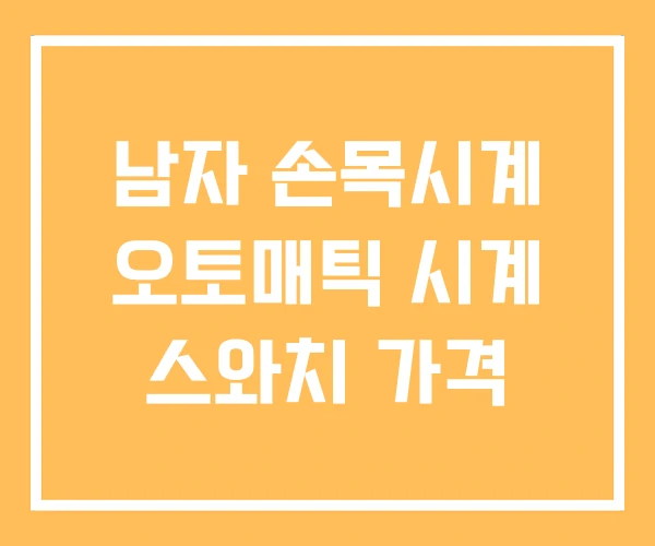 남자 손목시계 오토매틱 시계 스와치 가격 남자 손목시계 오토매틱 시계 스와치 가격