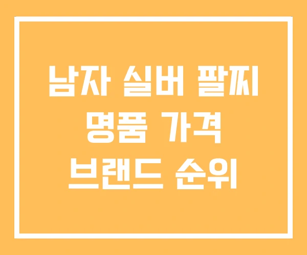 남자 실버 팔찌 명품 가격 브랜드 순위 남자 실버 팔찌 명품 가격 브랜드 순위