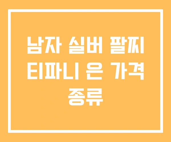 남자 실버 팔찌 티파니 은 가격 종류 남자 실버 팔찌 티파니 은 가격 종류