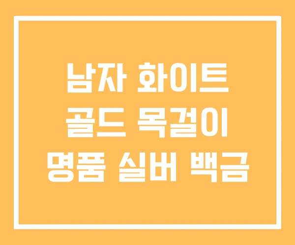 남자 화이트 골드 목걸이 명품 실버 백금 남자 화이트 골드 목걸이 명품 실버 백금