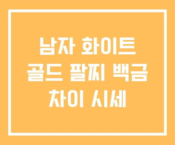남자 화이트 골드 팔찌 백금 차이 시세
