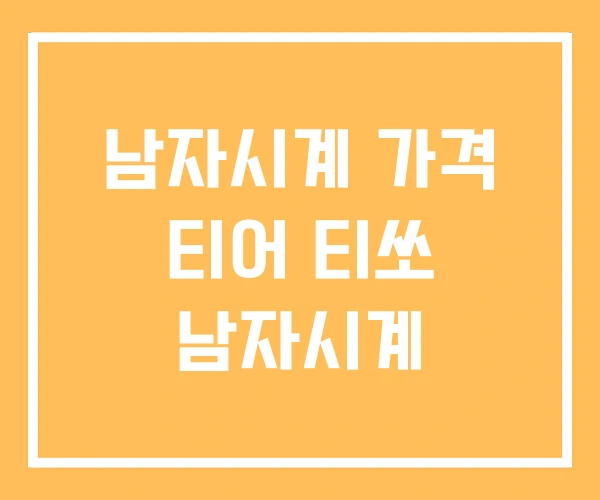 남자시계 가격 티어 티쏘 남자시계