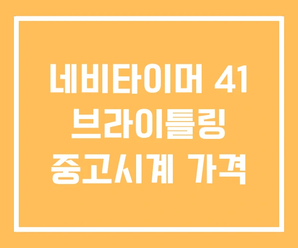 네비타이머 41 브라이틀링 중고시계 가격 네비타이머 41 브라이틀링 중고시계 가격