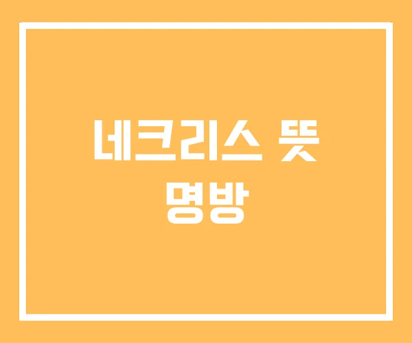 네크리스 뜻 명방 네크리스 뜻 명방
