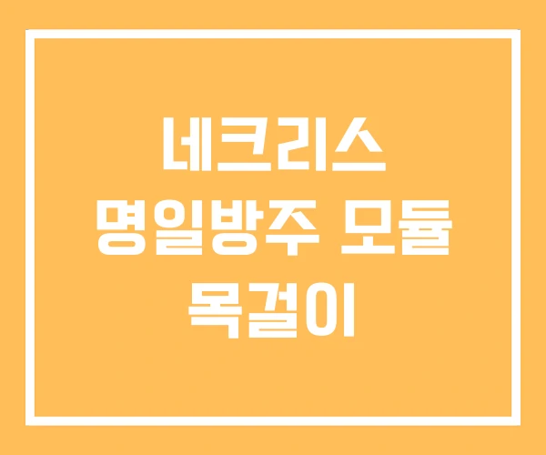 네크리스 명일방주 모듈 목걸이 네크리스 명일방주 모듈 목걸이